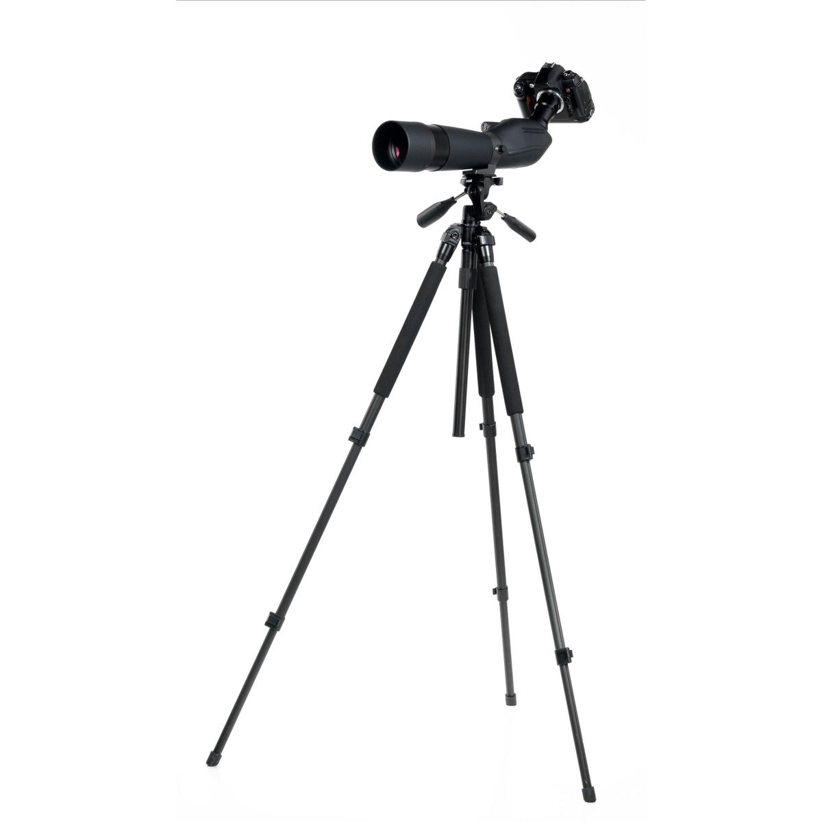 product/b/u/bushnell_fl784040_0.jpg