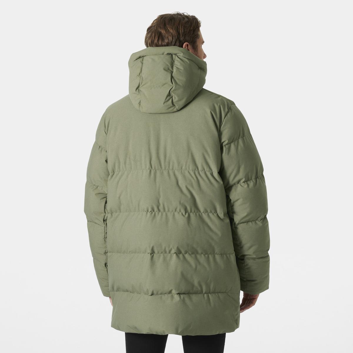 product/h/e/helly-hansen_54133-421_lav-green_4.jpg