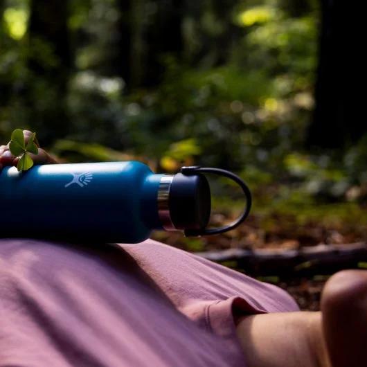 product/h/y/hydro-flask_hfs21sx001-black_black_5.jpg