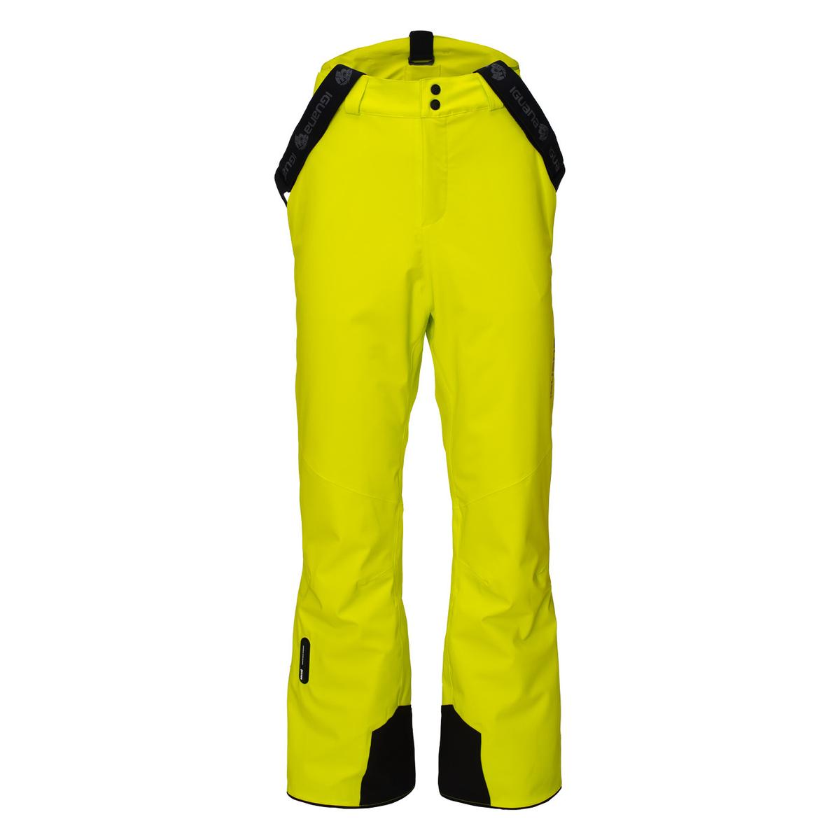 product/i/g/iguana-92800621865-vert-1.jpg