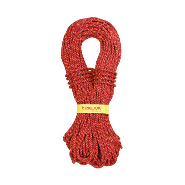 product/t/e/tendon_d079tl41c030c.jpg