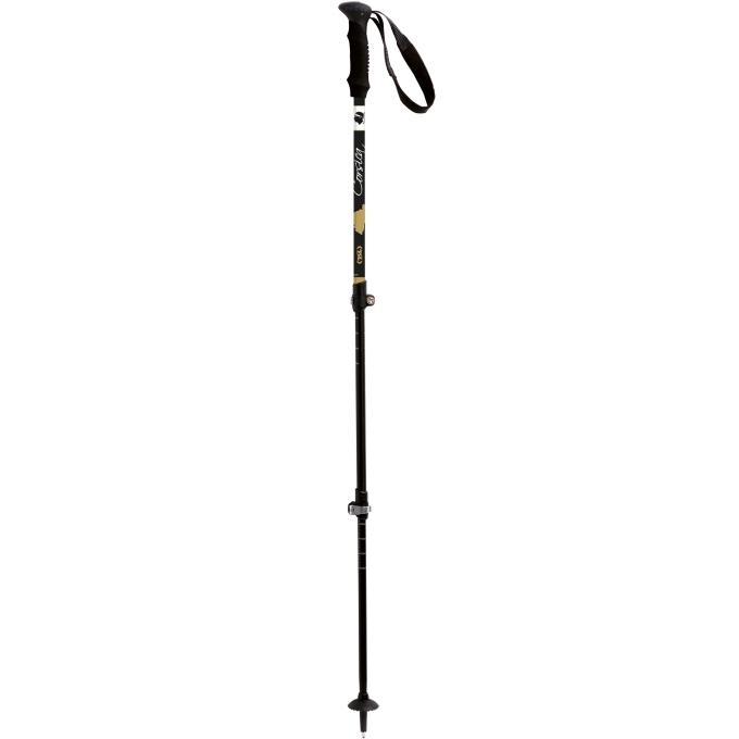 product/t/s/tsl_pfbcoa3ltcor_black-gold_1.jpg