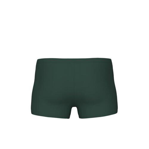 product/a/r/arena_009074-306_dark-sage-artic-lime_2.jpg