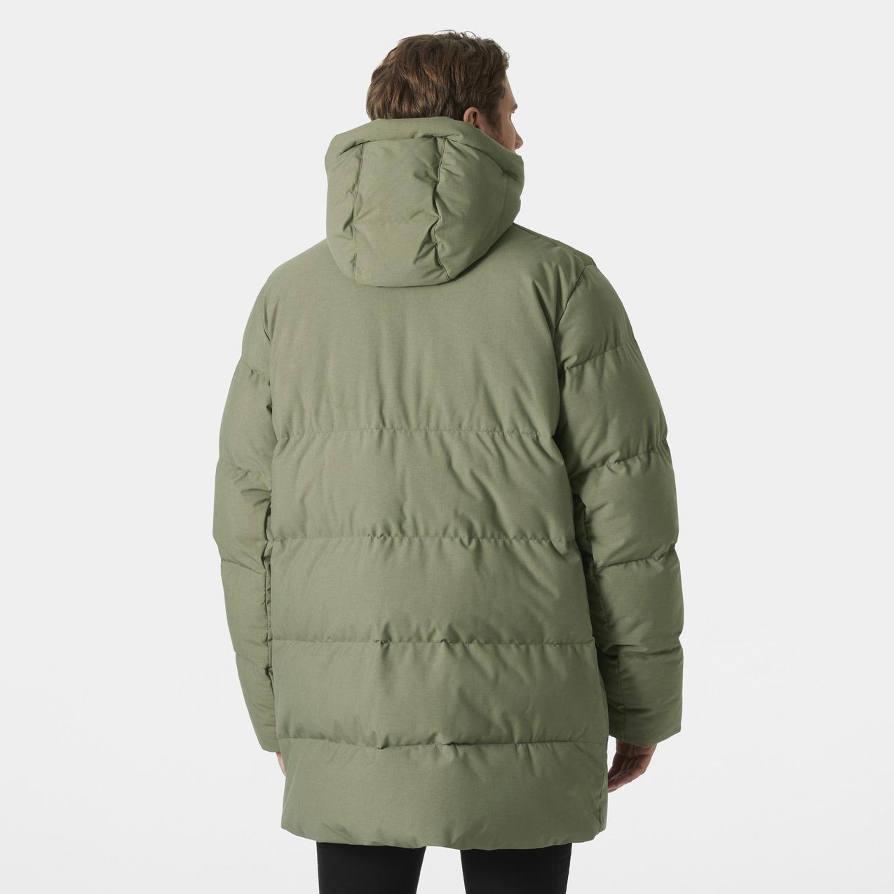 product/h/e/helly-hansen_54133-421_lav-green_4.jpg