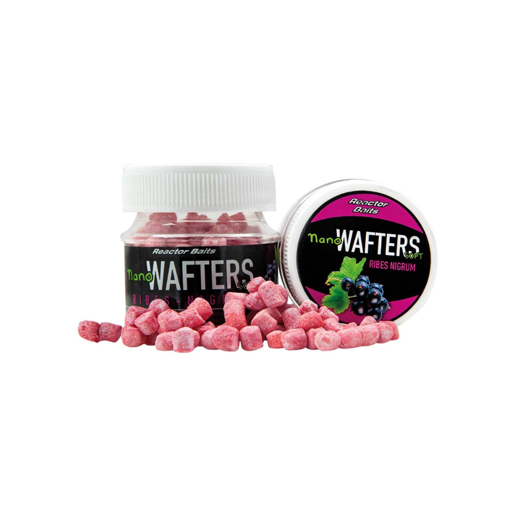 product/m/a/maver_9035s006_ribes-nigrum_1.jpg