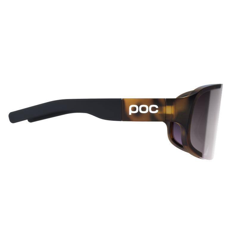 product/p/o/poc_asp2012-9547_tortoise-brown-clarity-road-sunny-silver_3.jpg