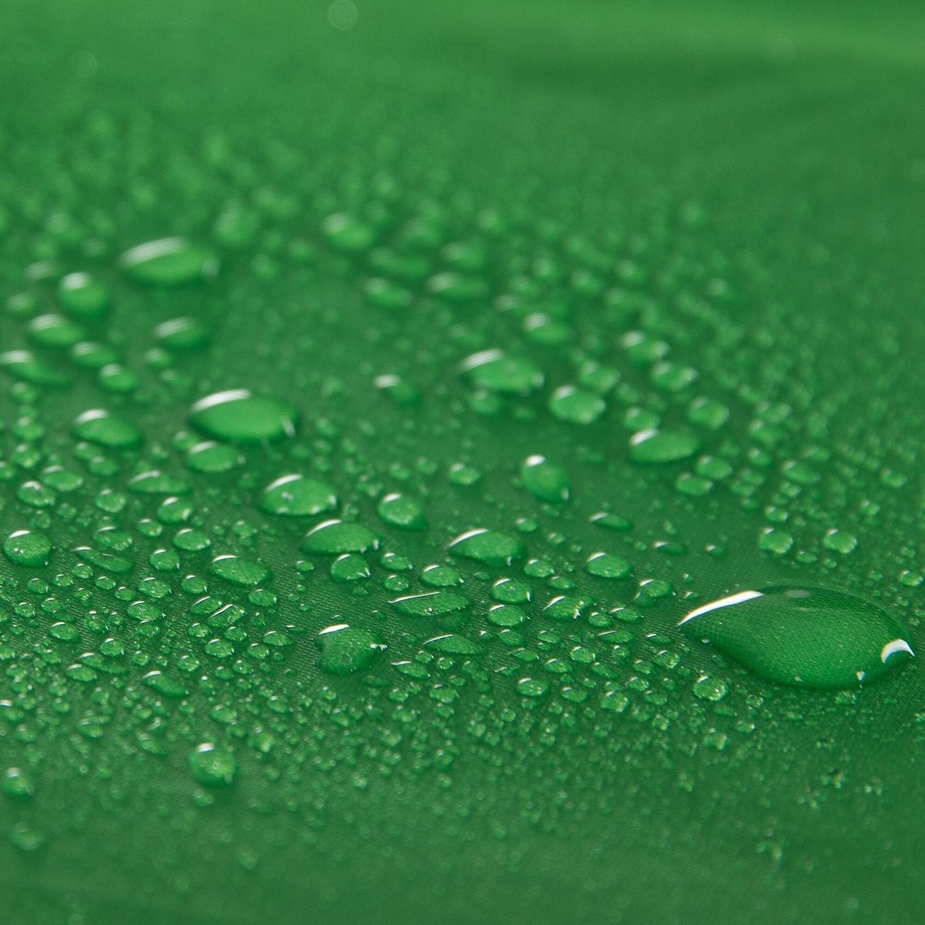 product/r/e/regatta_rce141-7sy_extgrn-green_2.jpg