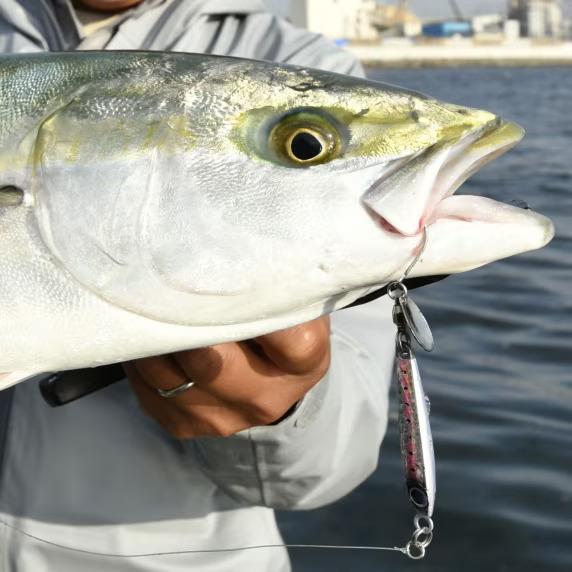 product/s/h/shimano_59vjut40w01_4.jpg