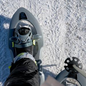 Chaussures