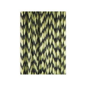 acs64006-tresse-a-bas-de-ligne-carp-spirit-20-m-camo-vert