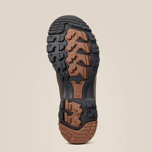 product/a/r/ariat_10040417_4.jpg