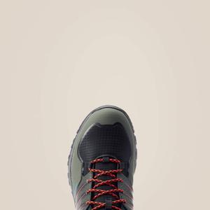 product/a/r/ariat_10044577_2.jpg