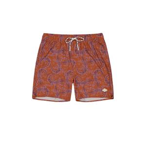 5183-11-short-de-bain-barts-kinghorn-terra