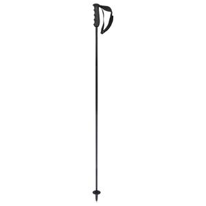 381784-baton-de-ski-head-porsche-carbon-black-white