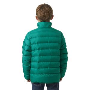 product/h/e/helly-hansen_41796-466_signal-green_1.jpg