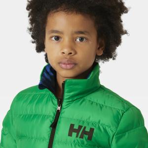 product/h/e/helly-hansen_41796-499_bright-green_4.jpg