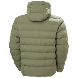 product/h/e/helly-hansen_53526-421_lav-green_2.jpg