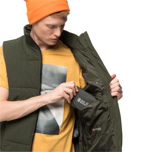 product/j/a/jack-wolfskin_1206401_4144_7-white-frost-vest-m-bonsai-green.jpg