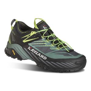 018022460-chaussures-de-randonnee-kayland-duke-gtx-black-green