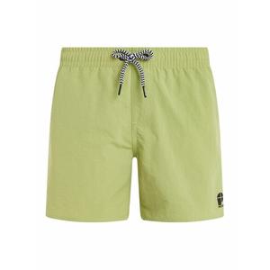 2810000-952-short-de-bain-enfant-protest-culture-algaegreen