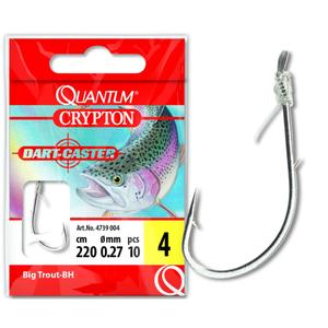 product/q/u/quantum_4739004.jpg