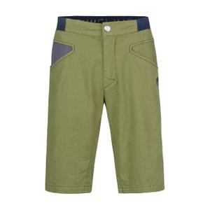 10041534rfx-short-rafiki-gnar-avocado