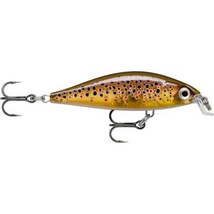 ra5824091-leurre-rapala-x-light-minnow-fnm05-trl-5-cm