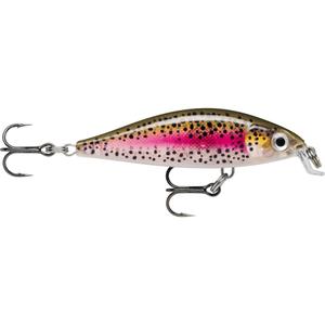ra5824093-leurre-rapala-x-light-minnow-fnm05-rtl-5-cm