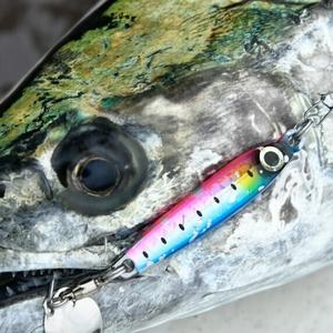 product/s/h/shimano_59vjut40w01_3.jpg