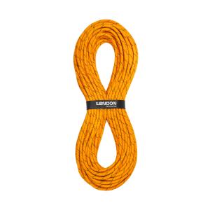 product/t/e/tendon_c100tw48w200r.jpg