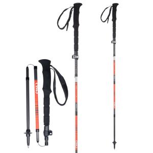 product/t/s/tsl_pfbhc5c_orange-black_1.jpg